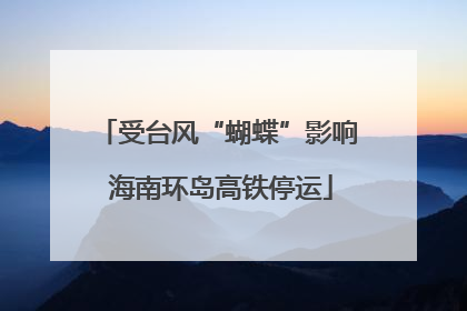 受台风“蝴蝶”影响 海南环岛高铁停运