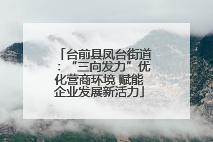 台前县凤台街道：“三向发力”优化营商环境 赋能企业发展新活力