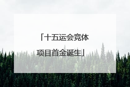 十五运会竞体项目首金诞生