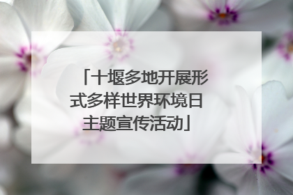 十堰多地开展形式多样世界环境日主题宣传活动