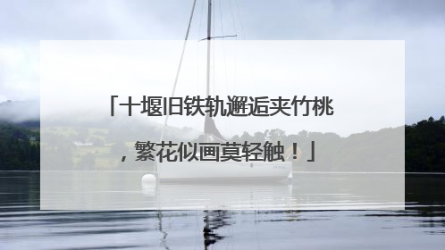 十堰旧铁轨邂逅夹竹桃，繁花似画莫轻触！