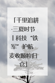 千里追耕·三夏时节丨科技“铁军”护航 麦收颗粒归仓