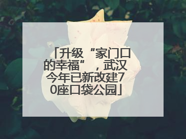 升级“家门口的幸福”，武汉今年已新改建70座口袋公园