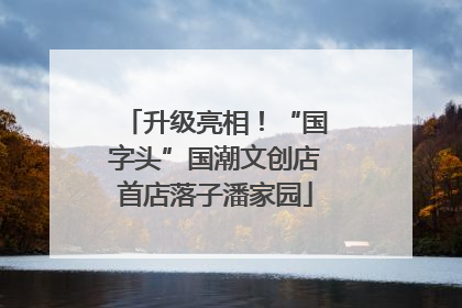 升级亮相！“国字头”国潮文创店首店落子潘家园