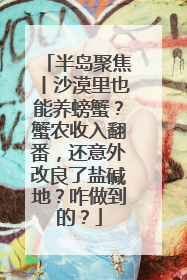 半岛聚焦丨沙漠里也能养螃蟹？蟹农收入翻番，还意外改良了盐碱地？咋做到的？
