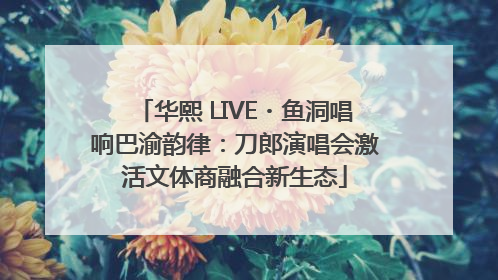 华熙 LIVE・鱼洞唱响巴渝韵律：刀郎演唱会激活文体商融合新生态