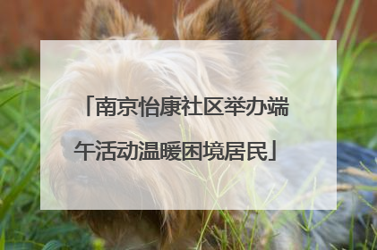 南京怡康社区举办端午活动温暖困境居民
