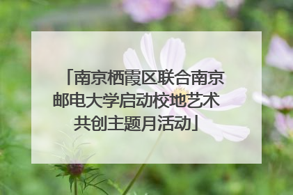 南京栖霞区联合南京邮电大学启动校地艺术共创主题月活动
