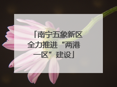 南宁五象新区全力推进“两港一区”建设