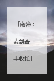 南漳：麦飘香 丰收忙