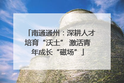南通通州：深耕人才培育“沃土” 激活青年成长“磁场”