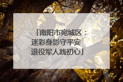 南阳市宛城区：迷彩身影守平安 退役军人践初心