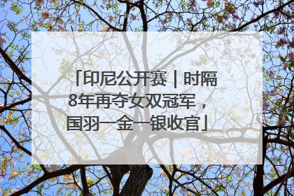 印尼公开赛｜时隔8年再夺女双冠军，国羽一金一银收官