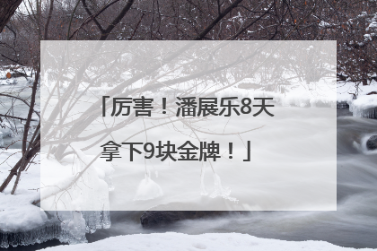 厉害！潘展乐8天拿下9块金牌！
