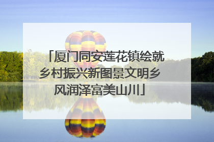 厦门同安莲花镇绘就乡村振兴新图景文明乡风润泽富美山川