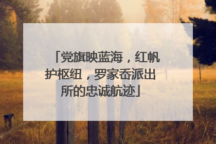 党旗映蓝海，红帆护枢纽，罗家岙派出所的忠诚航迹