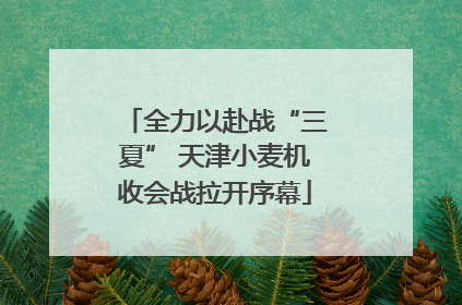 全力以赴战“三夏” 天津小麦机收会战拉开序幕