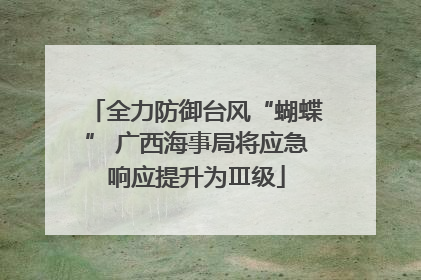 全力防御台风“蝴蝶” 广西海事局将应急响应提升为Ⅲ级
