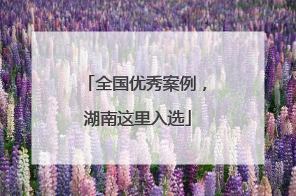 全国优秀案例，湖南这里入选