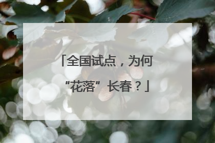 全国试点，为何“花落”长春？