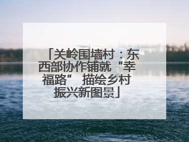关岭围墙村：东西部协作铺就“幸福路” 描绘乡村振兴新图景