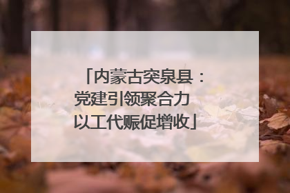内蒙古突泉县：党建引领聚合力 以工代赈促增收