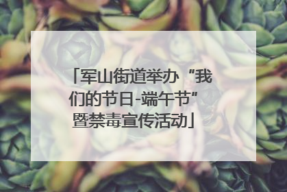 军山街道举办“我们的节日-端午节”暨禁毒宣传活动