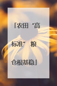 农田“高标准” 粮仓根基稳