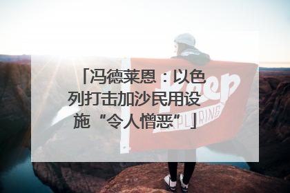 冯德莱恩：以色列打击加沙民用设施“令人憎恶”