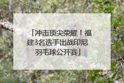 冲击顶尖荣耀！福建3名选手出战印尼羽毛球公开赛