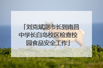 刘克斌副市长到南昌中学长白岛校区检查校园食品安全工作