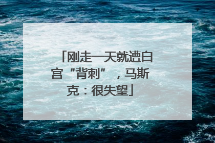 刚走一天就遭白宫“背刺”，马斯克：很失望