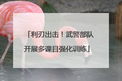 利刃出击！武警部队开展多课目强化训练