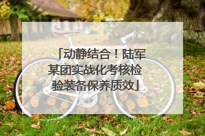 动静结合！陆军某团实战化考核检验装备保养质效