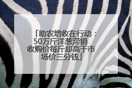 助农增收在行动：50万斤洋葱滞销 收购价每斤却高于市场价三分钱