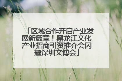 区域合作开启产业发展新篇章！黑龙江文化产业招商引资推介会闪耀深圳文博会