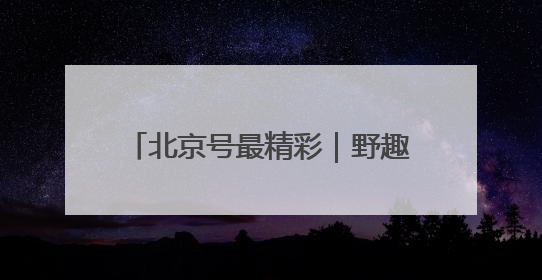 北京号最精彩｜野趣盎然！京城这个生态桥连通两大网红公园