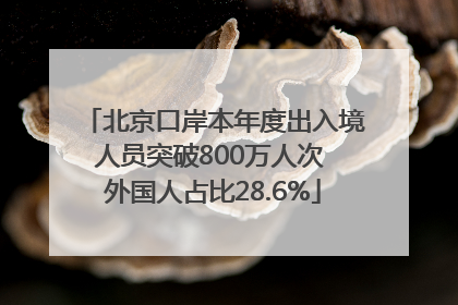 北京口岸本年度出入境人员突破800万人次 外国人占比28.6%