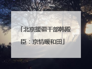北京援疆干部韩殿臣：京情暖和田