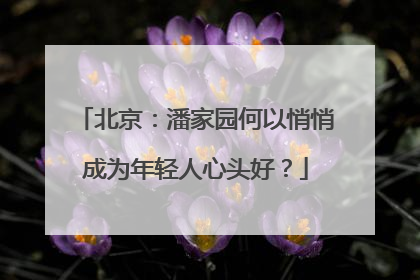 北京：潘家园何以悄悄成为年轻人心头好？