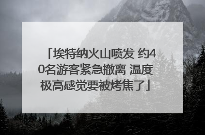 埃特纳火山喷发 约40名游客紧急撤离 温度极高感觉要被烤焦了