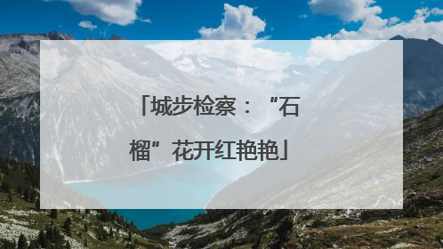 城步检察：“石榴”花开红艳艳