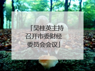 吴桂英主持召开市委财经委员会会议