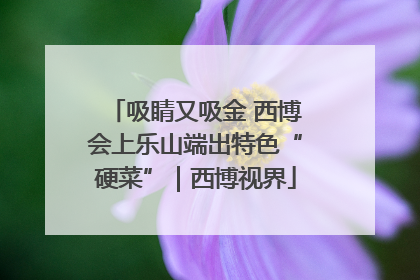 吸睛又吸金 西博会上乐山端出特色“硬菜”｜西博视界