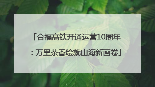合福高铁开通运营10周年：万里茶香绘就山海新画卷