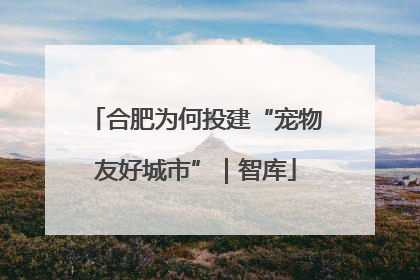 合肥为何投建“宠物友好城市”｜智库