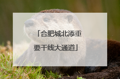 合肥城北添重要干线大通道