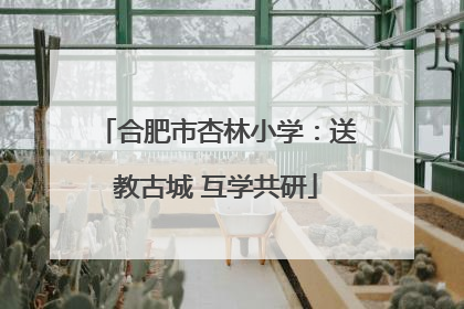 合肥市杏林小学：送教古城 互学共研