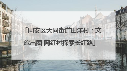 同安区大同街道田洋村：文旅出圈 网红村探索长红路