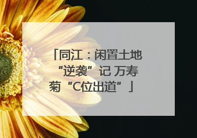 同江：闲置土地“逆袭”记 万寿菊“C位出道”